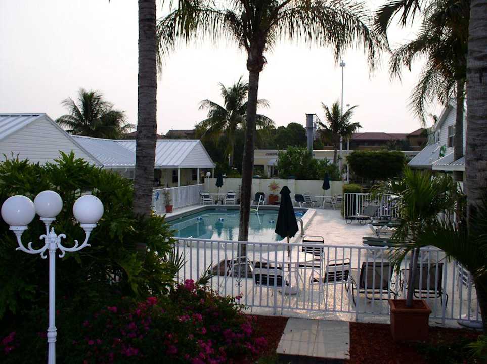 Poolbereich - Lemon Tree Inn Hotel Lemon Tree Inn