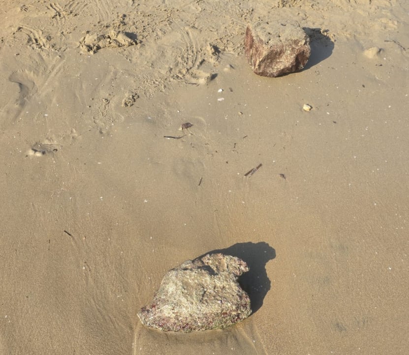 Strand Seaden Corolla Hotel