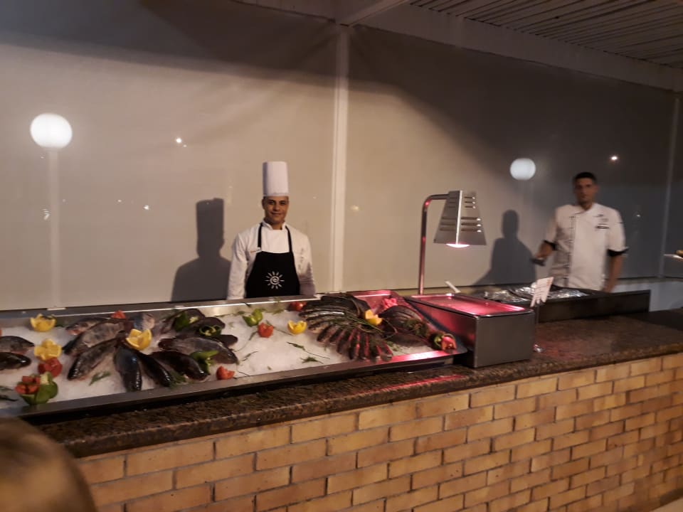 Sonstiges Desert Rose