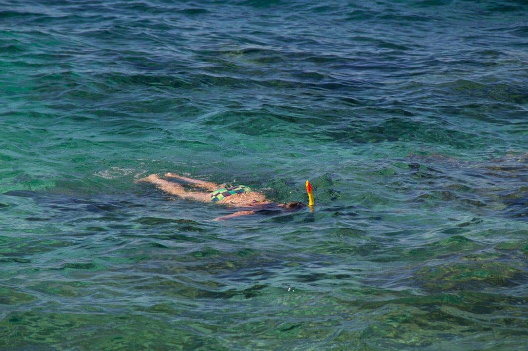 Schnorcheln im glasklaren Wasser Family Hotel Vespera