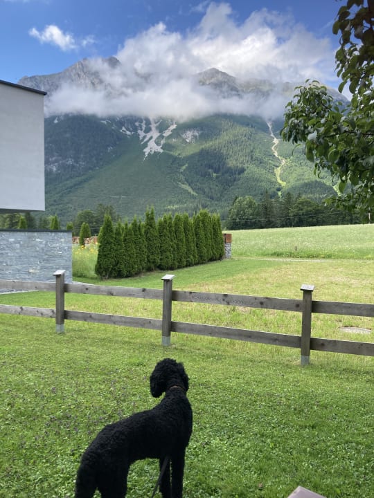 Gartenanlage Bio-Wellnesshotel Holzleiten