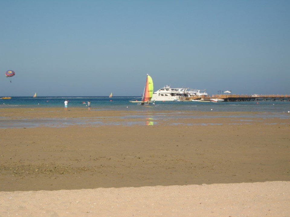 Leider gerade wenig Wasser da ebbe Cleopatra Luxury Resort Makadi Bay