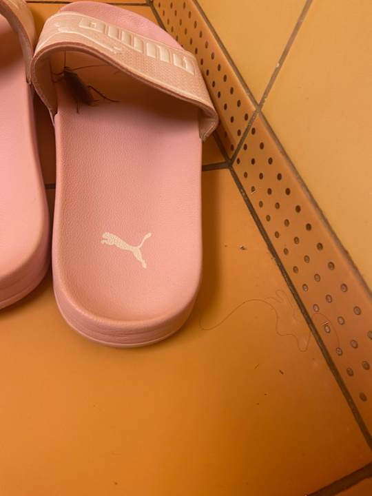 Zimmer SBH Hotel Taro Beach