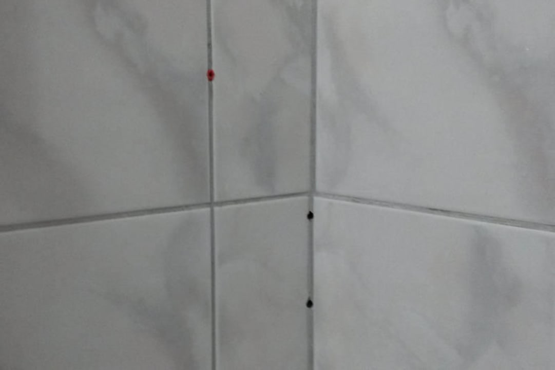 Seifenablage fehlt in der Dusche Pension Frisia