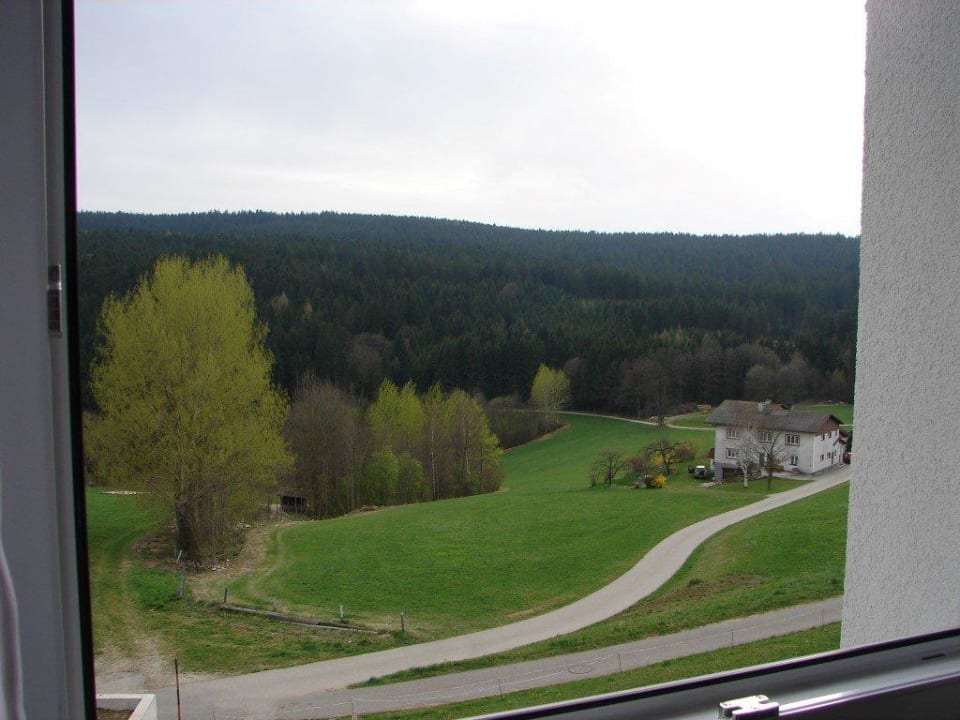 Ausblick aus meinem Zimmer Hotel Alpenblick