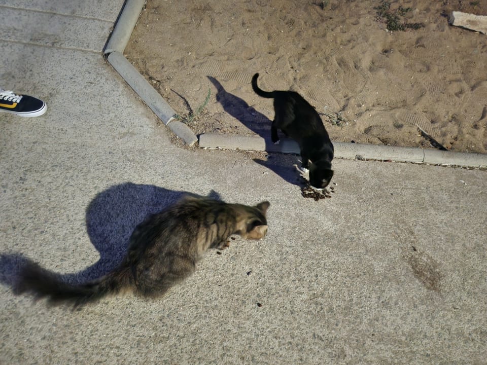 Außenansicht Constantinou Bros Asimina Suites Hotel