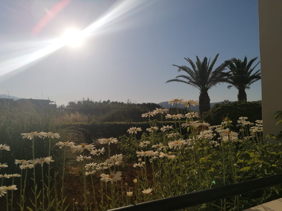 Ausblick Vantaris Luxury Beach Resort