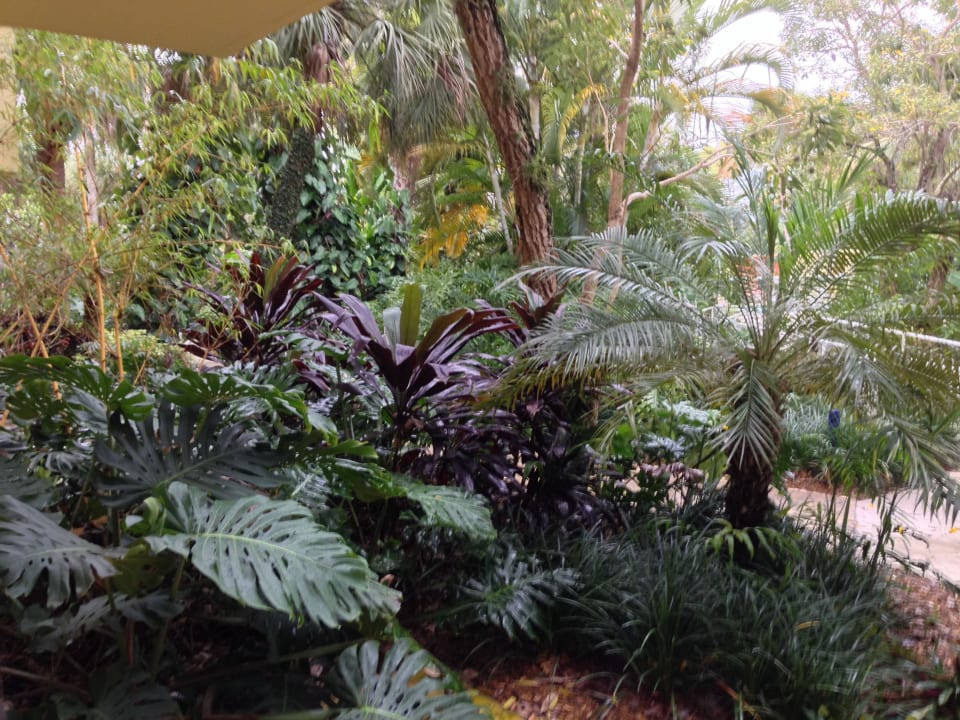 Aussicht in den Garten Miami Lakes Hotel & Golf