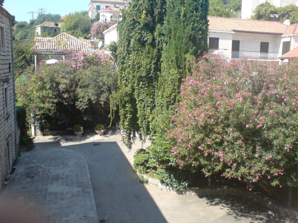 Ausblick von meinem Zimmer Maistra Select Mlini Hotel