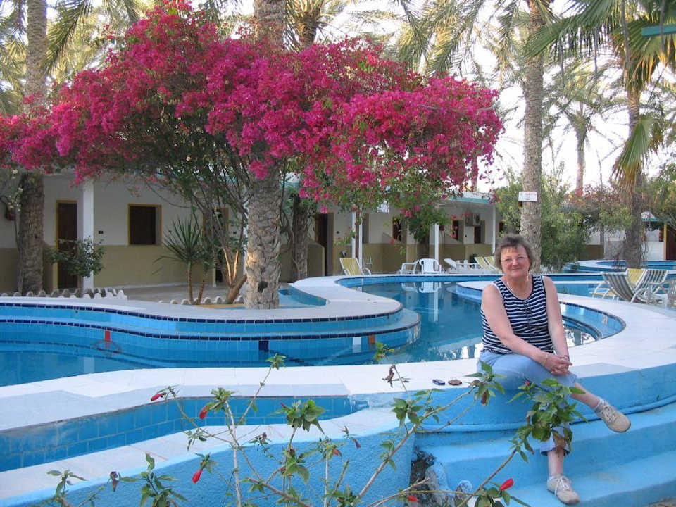 Hotel garden with outdoor pool and flowers Hotel Le Saharien Paradise