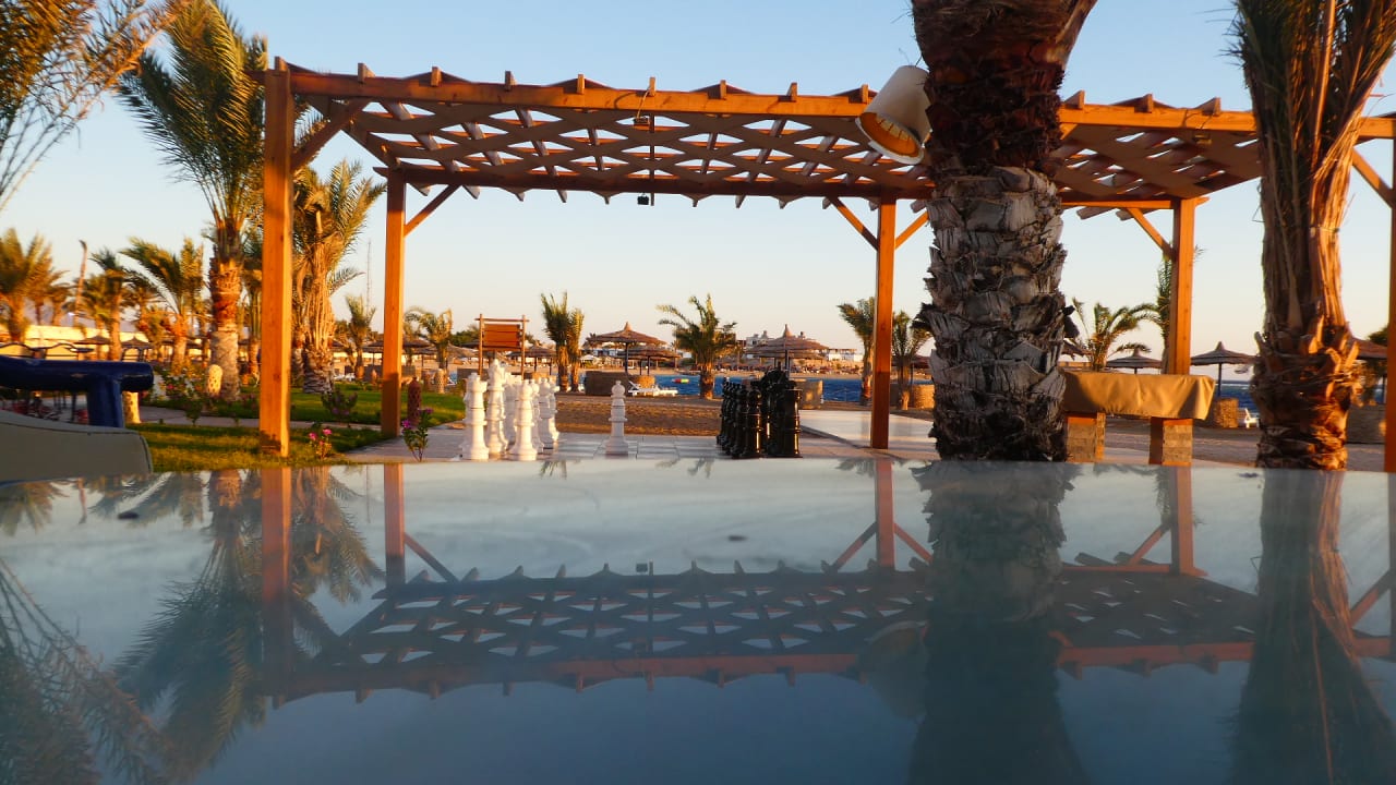 Pool Coral Sun Beach