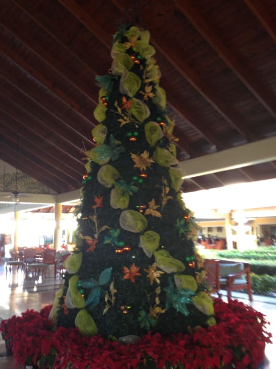 Weihnachten Hotel Grand Palladium Palace Resort, Spa & Casino