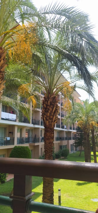 Außenansicht IC Hotels Green Palace