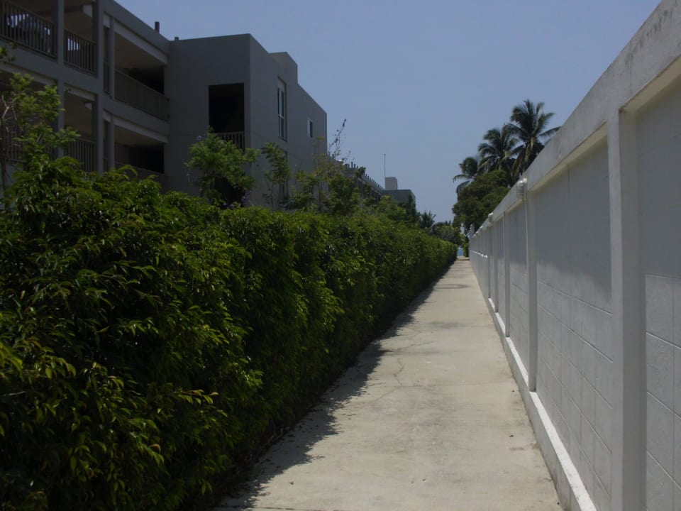 I'm walking The Leaf on The Sands by Katathani