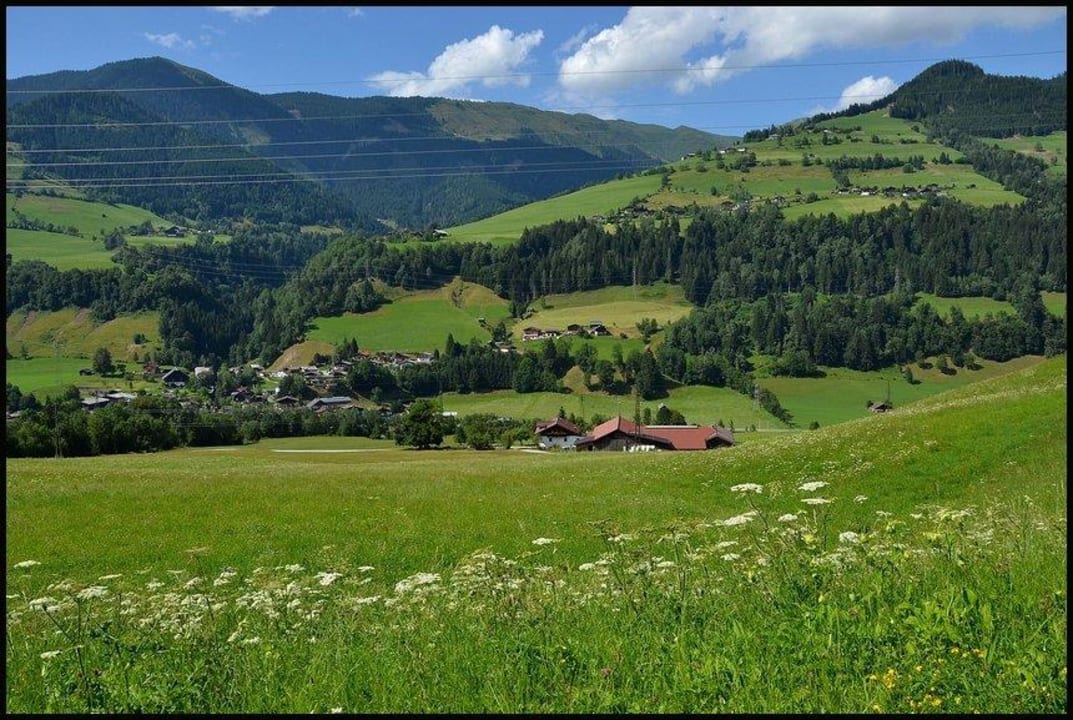 Ausblick auf Gries im Pinzgau Pension Wiesfleck