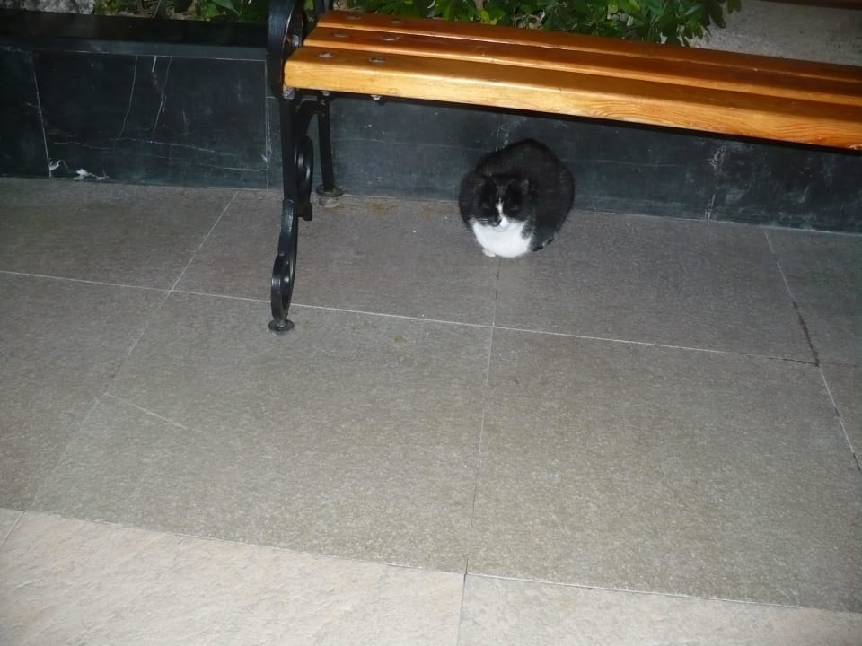 Eingang Limak Lara Deluxe Hotel & Resort