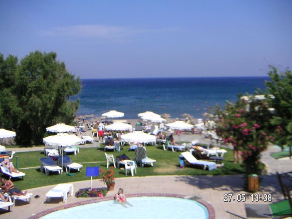 Blick aufs Meer und Pool Hotel Calypso Beach