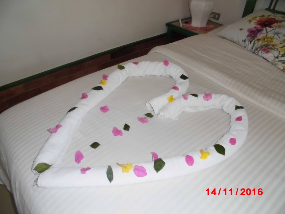 Bettenpflege Giftun Azur Resort