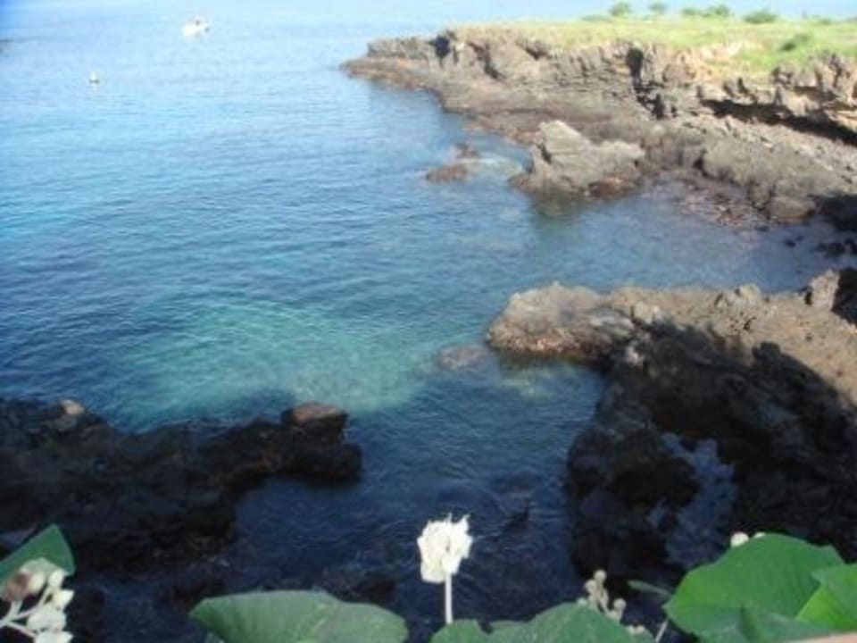 Ausblick vom Appartement King Fisher Village