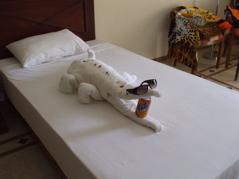 Das dritte Mal war da ein Krokodil Imperial Shams Abu Soma