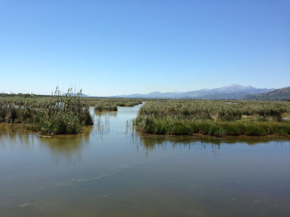 Ausblick Prinsotel La Dorada
