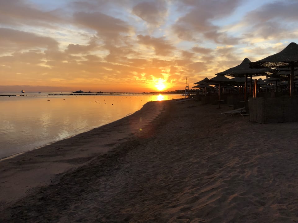 Strand Jaz Makadi Oasis Resort