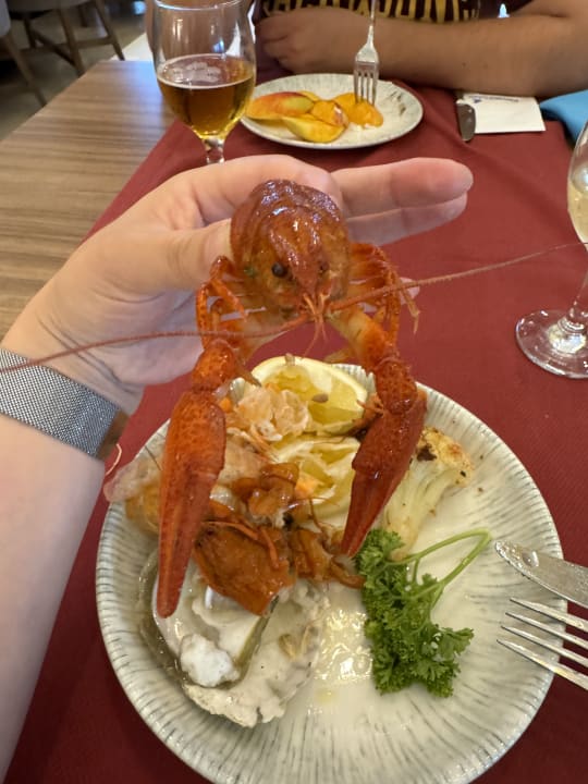 Gastro Sidemarin Kirman Premium