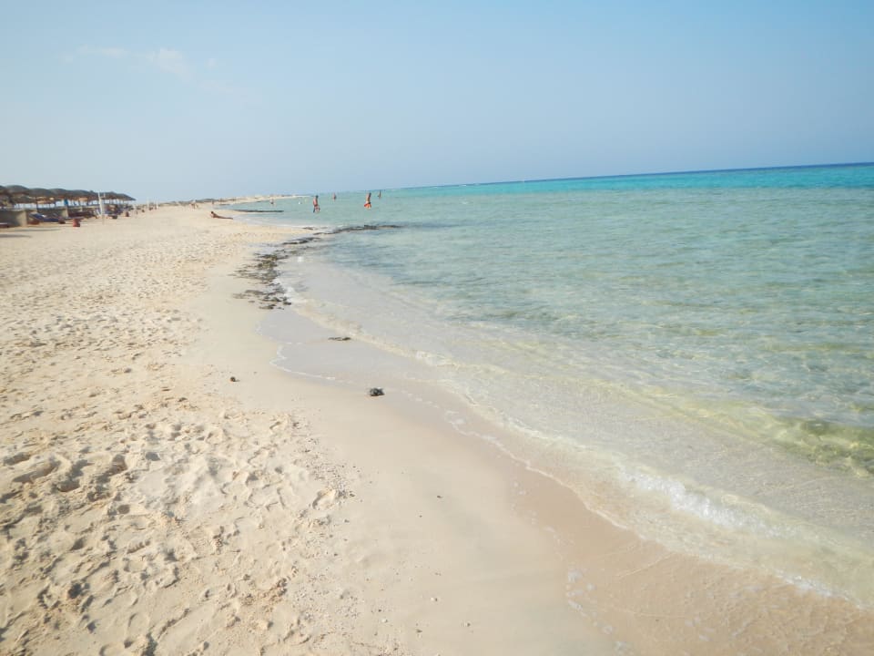 Schöner, weitläufiger Strand Hotel Gorgonia Beach Resort