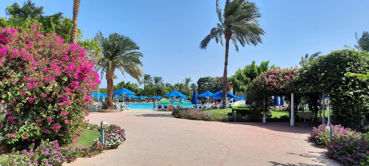 Gartenanlage Desert Rose