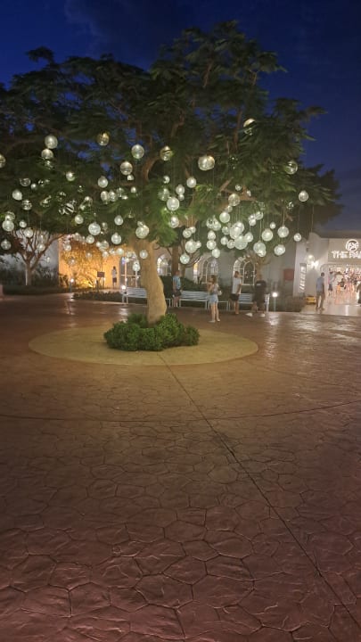 Sonstiges Desert Rose