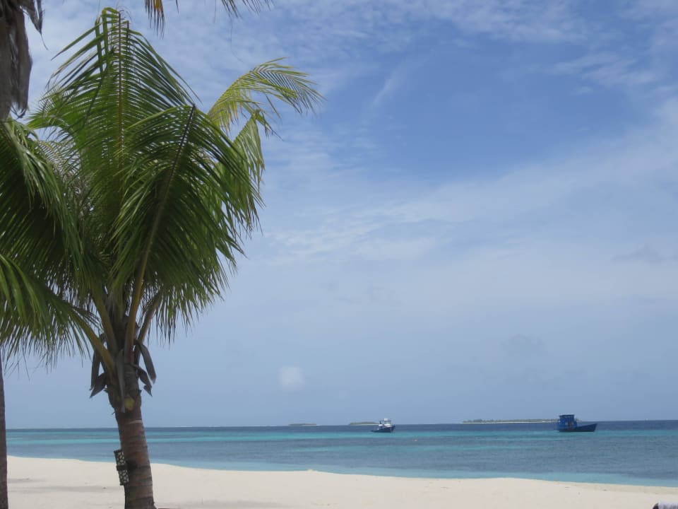 Ruhigere Wasserstrandseite Kuredu Island Resort & Spa