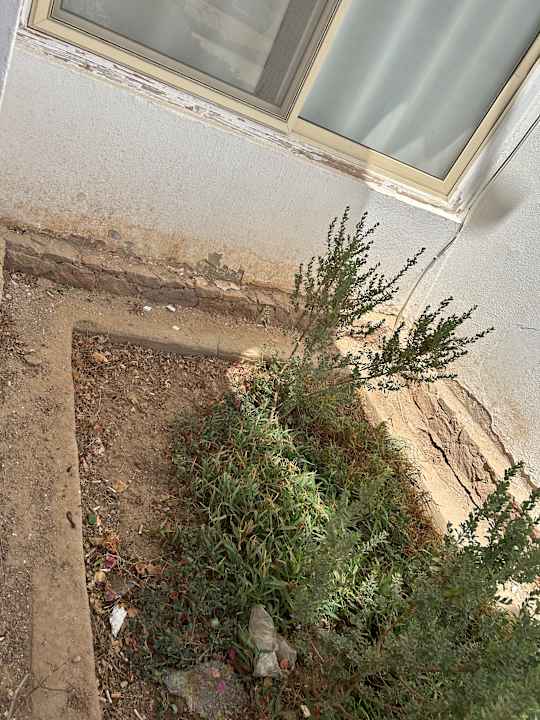 Außenansicht Menaville Safaga