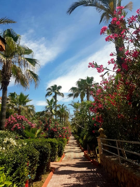 Gartenanlage Saphir Hotel & Villas