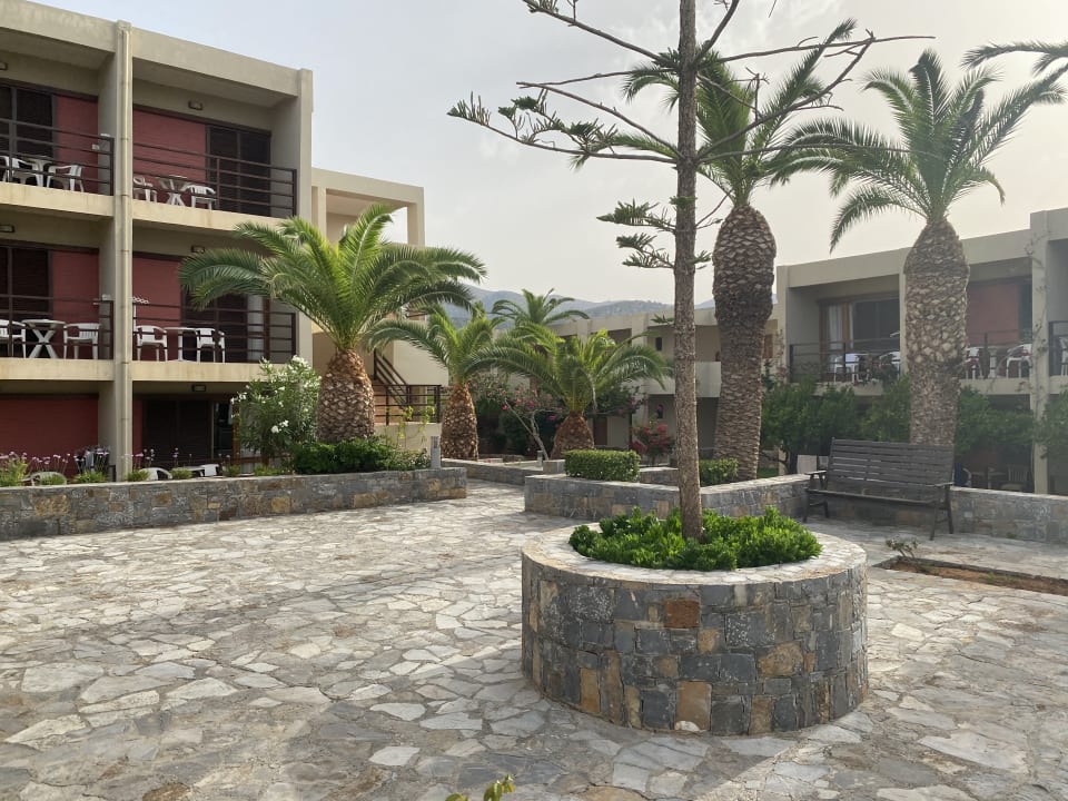 Gartenanlage allsun Hotel Malia Beach