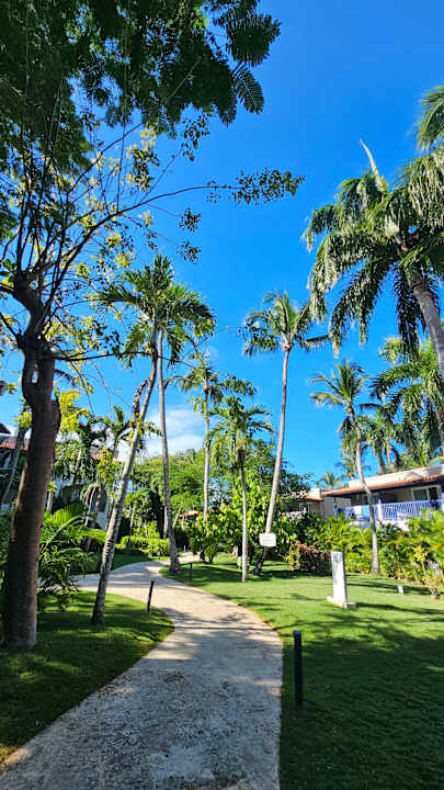 Gartenanlage Catalonia Royal La Romana - Adults only