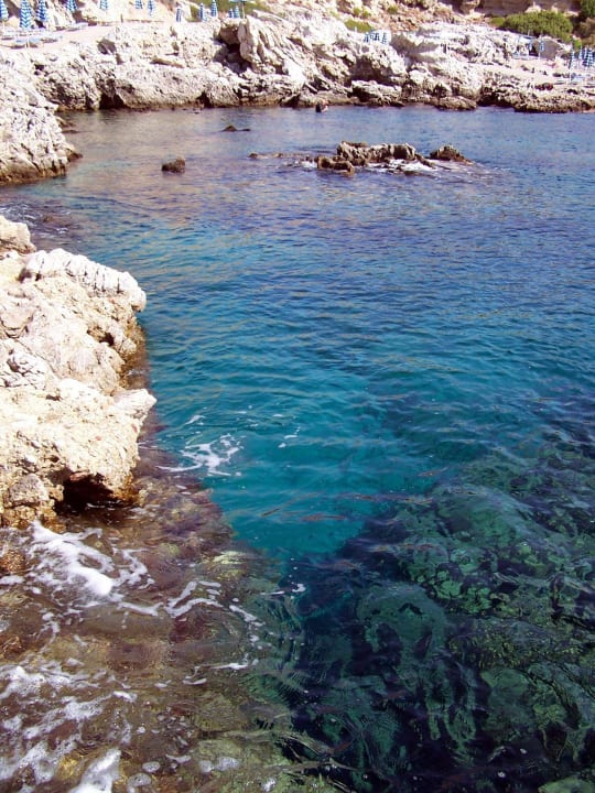 Glasklares Wasser Hotel Kalithea Horizon Royal