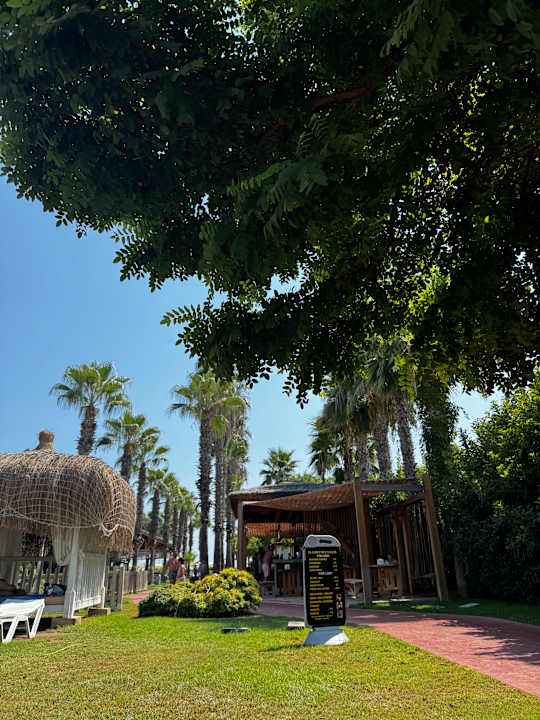 Gartenanlage Saturn Palace Resort Hotel