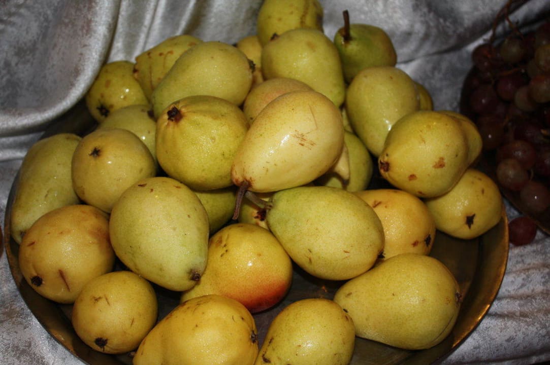 Club Ali Bey Manavgat Ali Bey Club