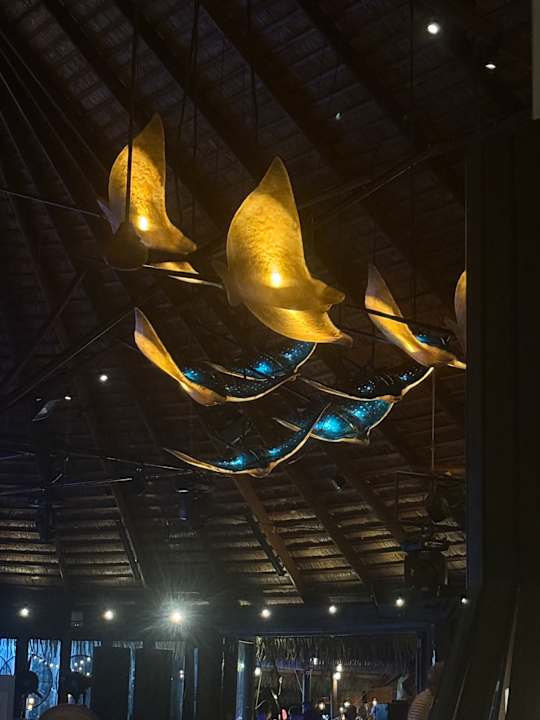 Lobby Kuredu Island Resort & Spa