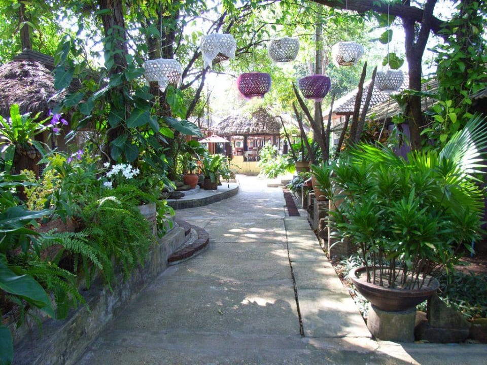 Weg zum Frühstück Hotel Tohsang Khongjiam