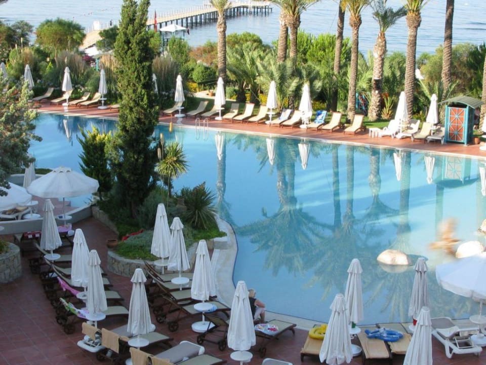 Poolberich PALOMA Perissia