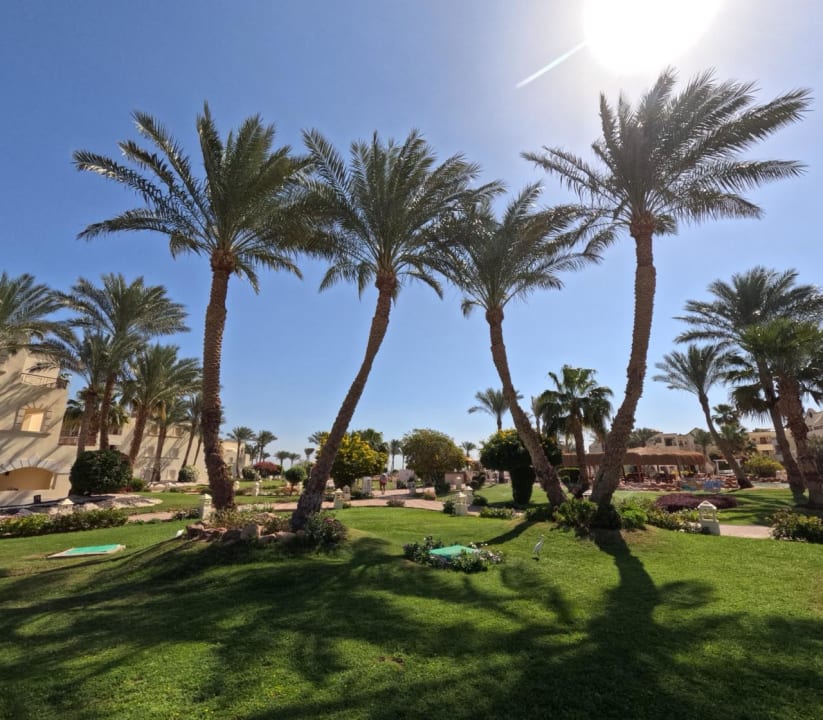 Gartenanlage Regency Plaza Aqua Park & Spa