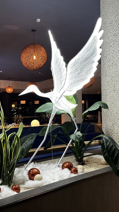 Sonstiges Hotel Riu Arecas - Adults only