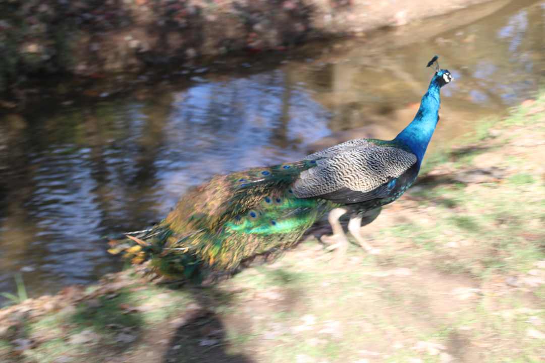 Gartenanlage Weltevreden Estate