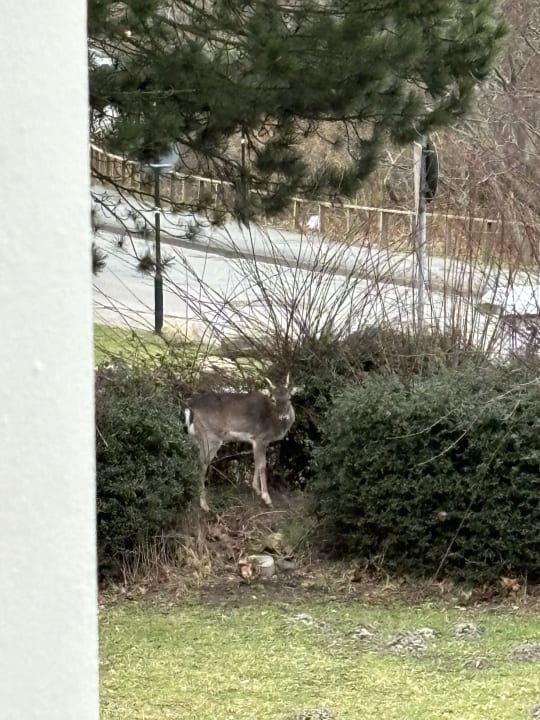 Außenansicht Ferienwohnungen Ferienpark Weissenhäuser Strand