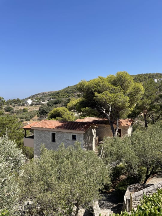 Ausblick Hotel Forest Park