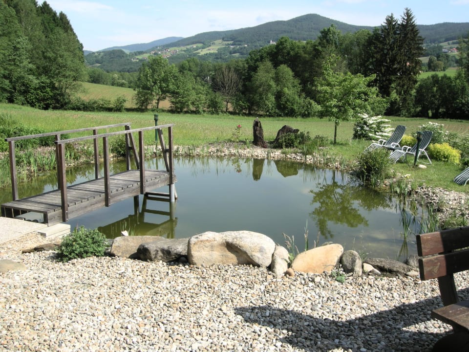 Schwimmbiotop Zur Grünen Au