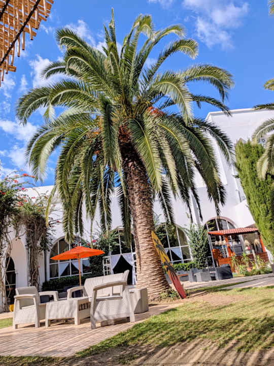 Pool Shalimar Hammamet