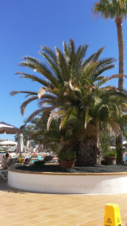 Pool Hotel Riu Paraiso Lanzarote