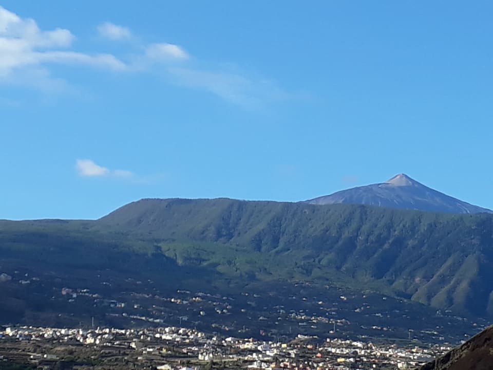 Ausblick BLUESEA Costa Jardin Spa